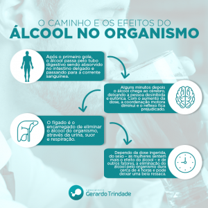O caminho e os efeitos do álcool no organismo – Laboratório Gerardo ...